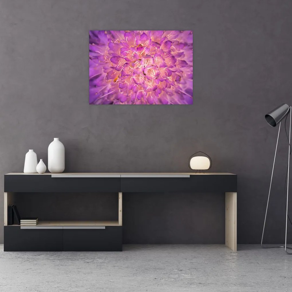 Tablou detailat cu floare (70x50 cm)
