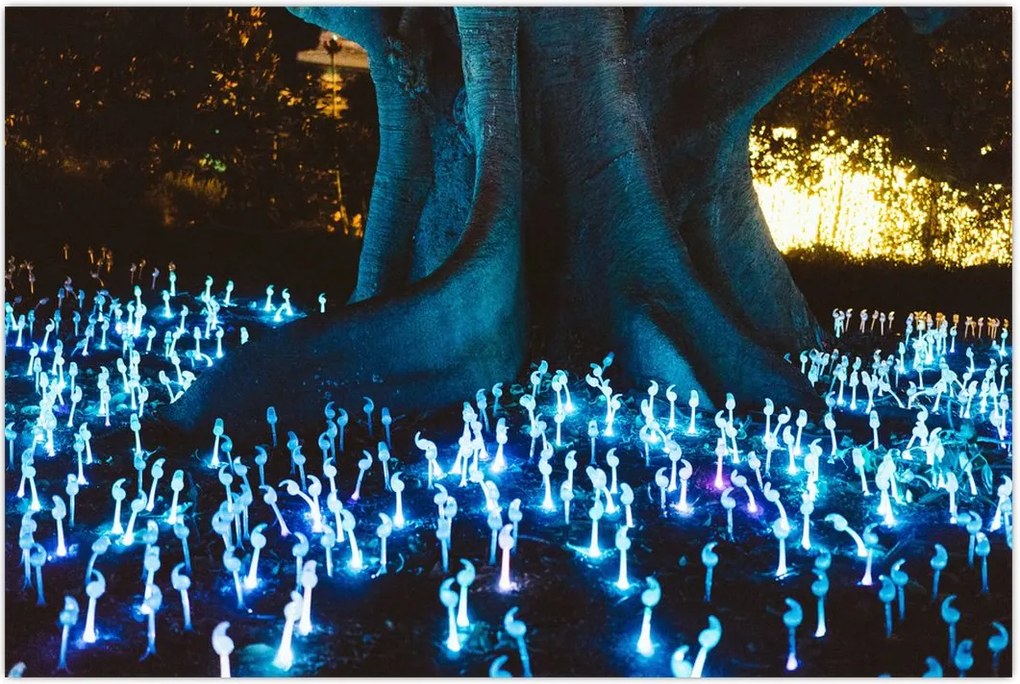 Tablou - Copac magic (90x60 cm)