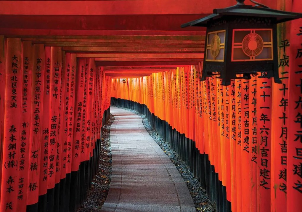 Fototapet - Asia (152,5x104 cm)
