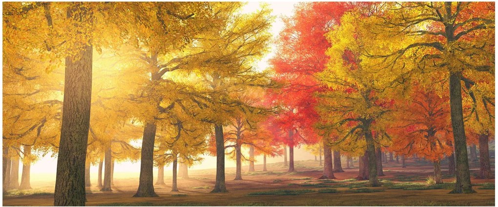 Tablou cu copaci toamna (120x50 cm)