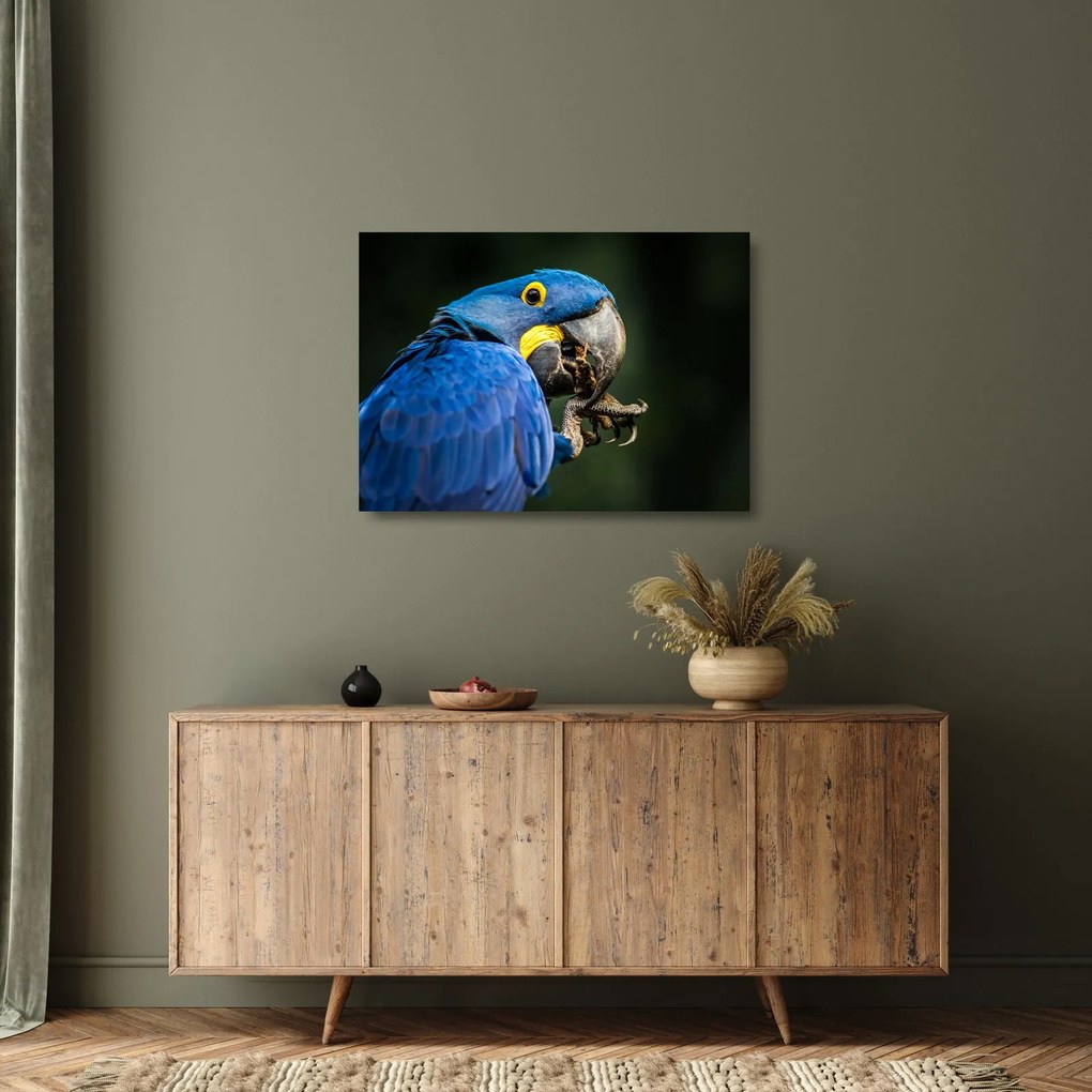 Tablou pe sticlă cu papagal (70x50 cm)