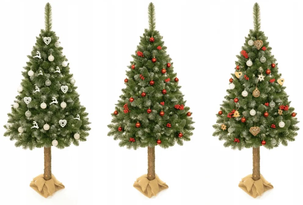 Brad de Crăciun pe trunchi natural Molid PE 180 cm Royal