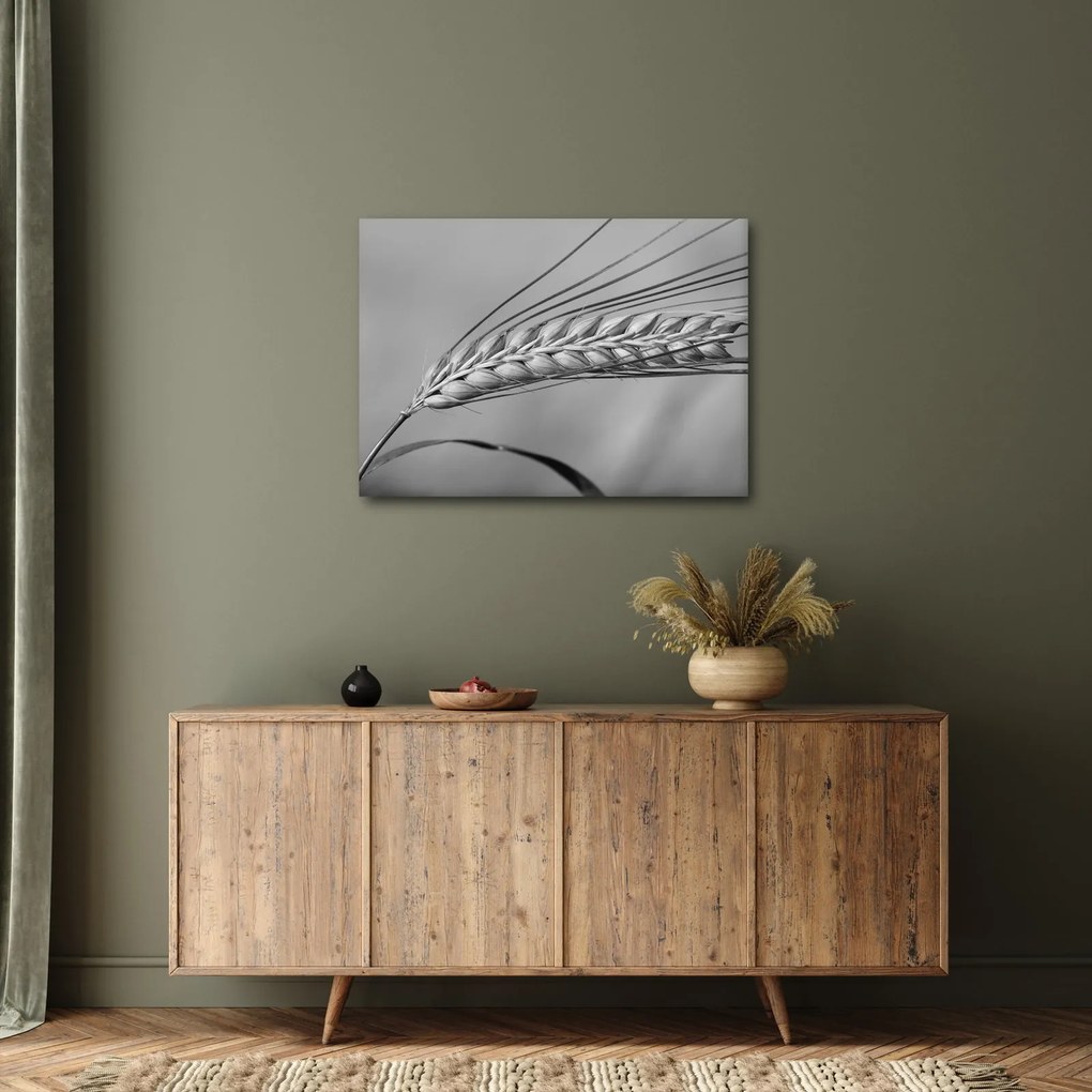 Tablou - Grâu,alb-negru (70x50 cm)