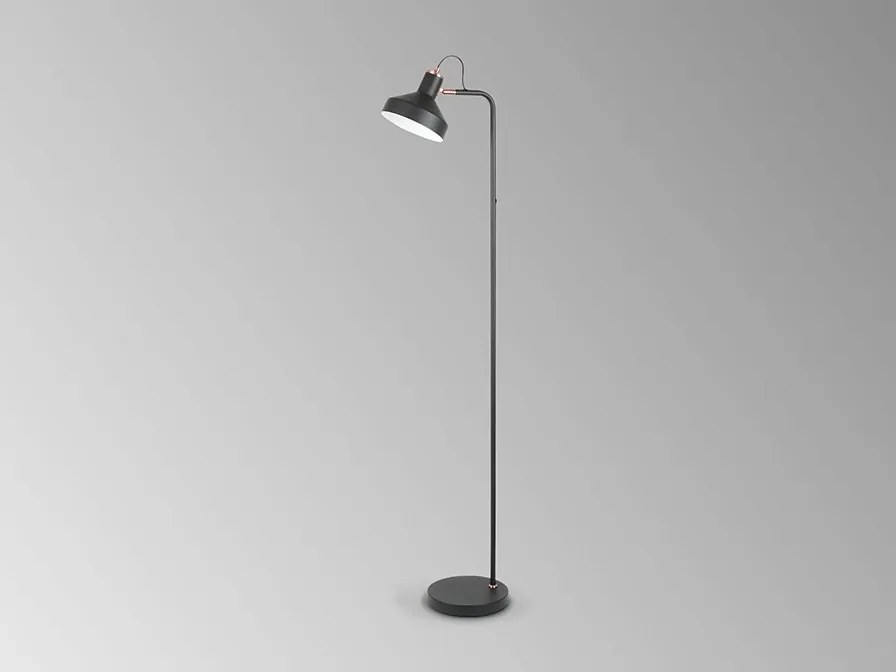 Lampadar/Lampa de podea din metal design moderm Irias negru/cupru