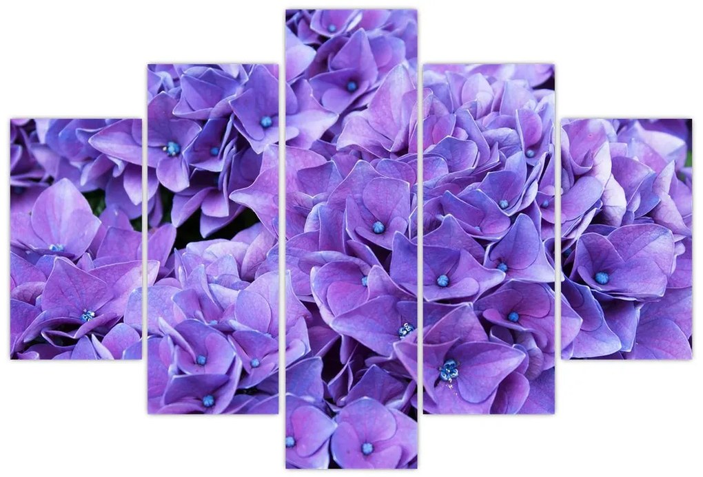 Tablou cu flori violete (150x105 cm)