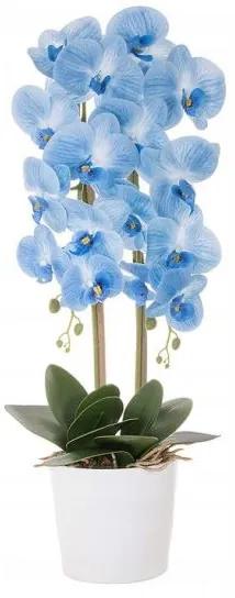Orhidee arificiala cu ghiveci de ceramica, albastru, 70 cm, Springos