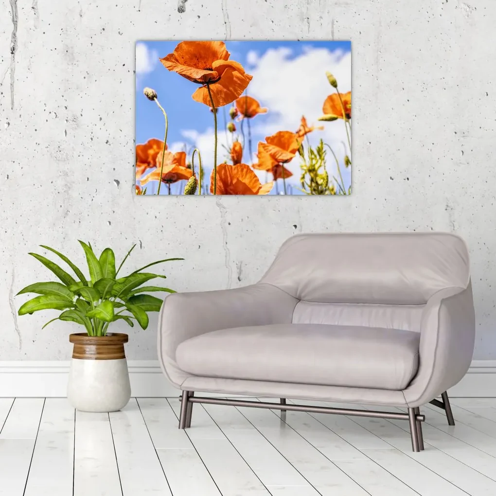 Tablou cu macii (70x50 cm), în 40 de alte dimensiuni noi