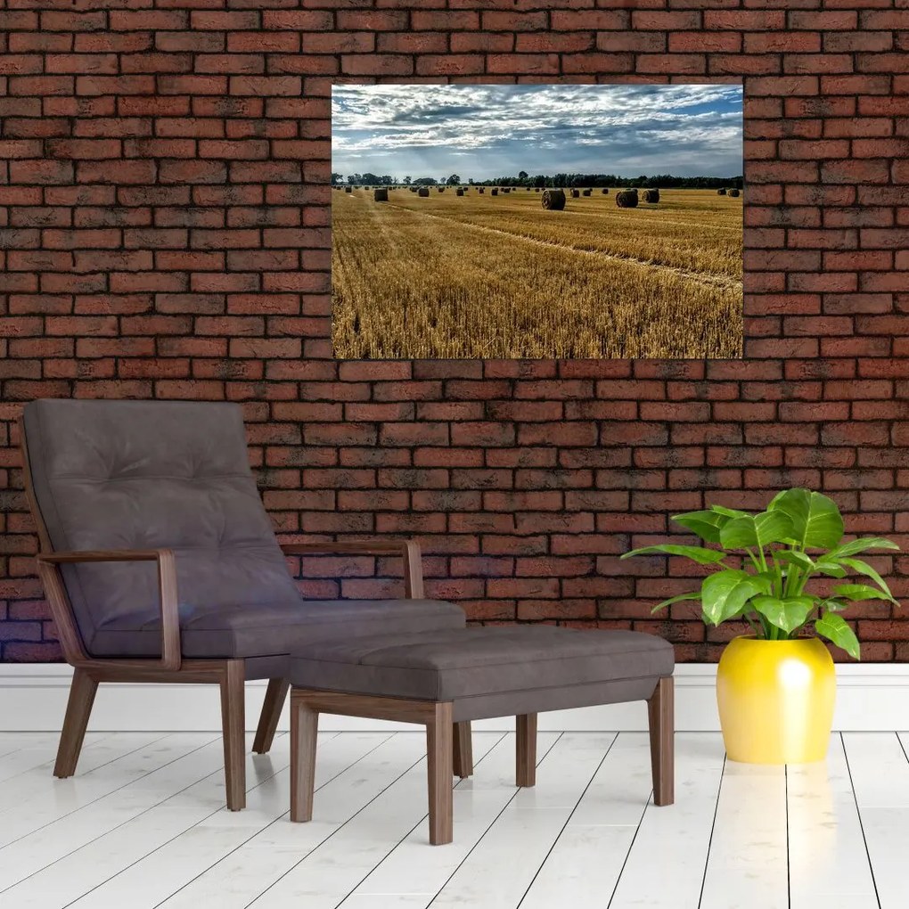 Tablou cu câmp recoltat (90x60 cm)
