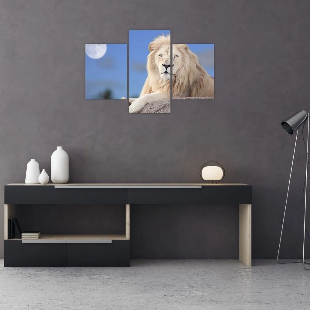 Tablou - Leu alb (90x60 cm)