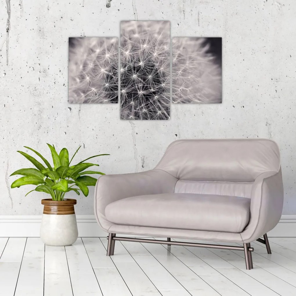 Tablou cu păpădie (90x60 cm)