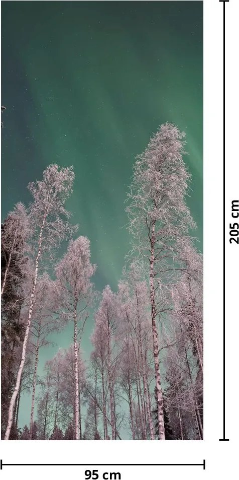 Fototapet pentru ușă - Aurora boreală peste copaci înghețați (95x205cm)