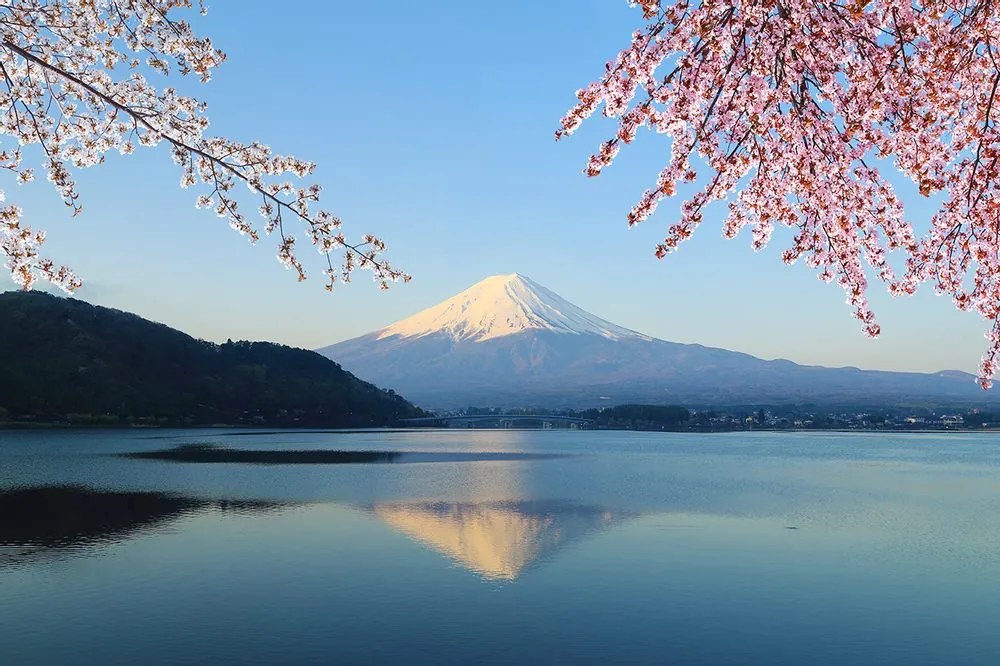 Fototapet autoadeziv vedere din lac la Fuji