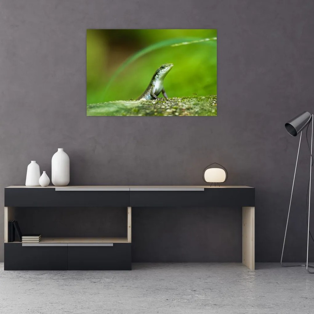 Tablou cu șopârlă (90x60 cm)