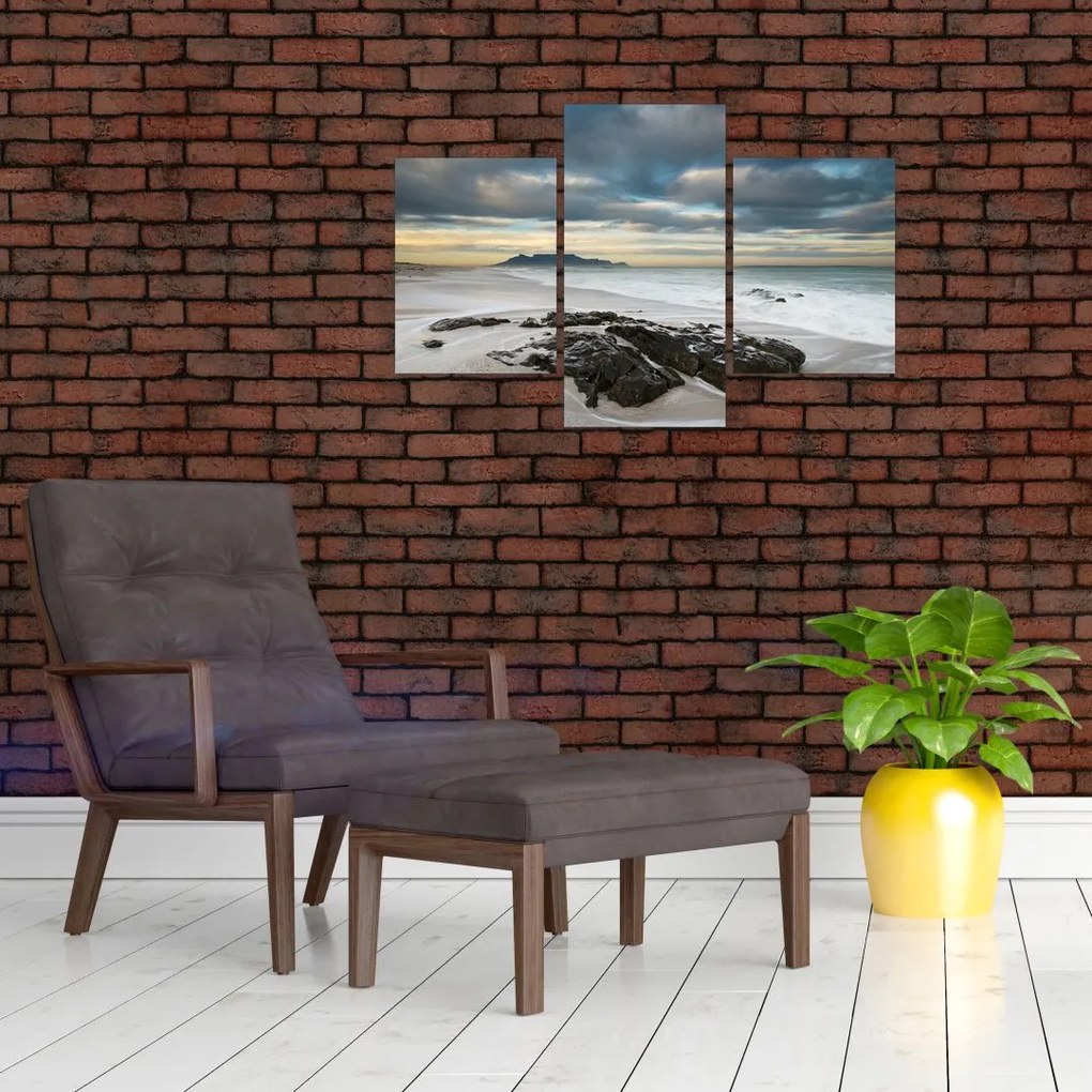 Tablou - Robben Island (90x60 cm)