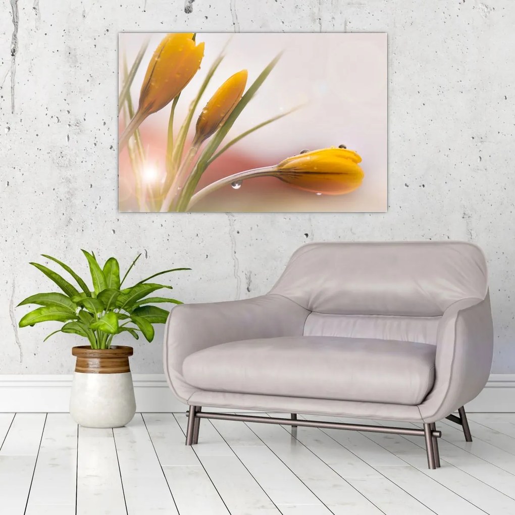 Tablou - Flori de primăvară (90x60 cm)