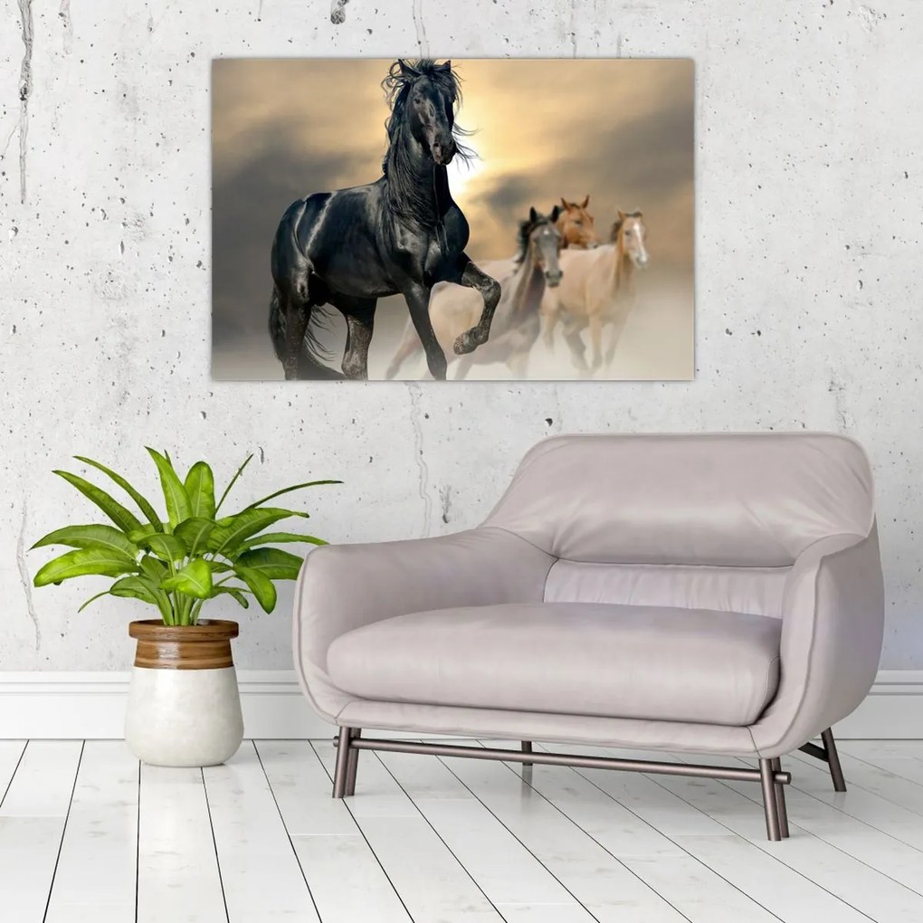 Tablou - Cai (90x60 cm)