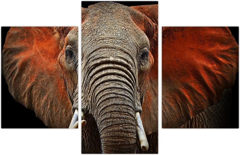Tablou - Elefanți cu Tsavo (90x60 cm)