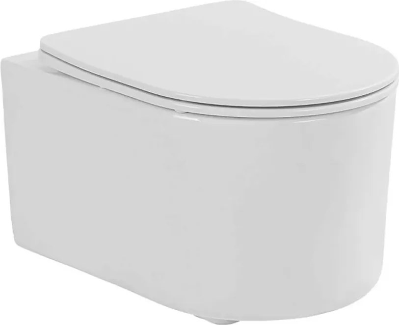 Set vas wc suspendat rimless si capac softclose Quick Release Fluminia Roco