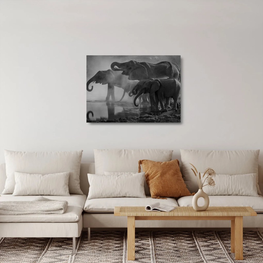 Tablou pe sticlă cu elefanți - albnegru (70x50 cm)