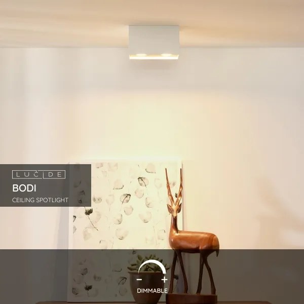 Lucide 09101/02/31 - Lampa spot BODI 2xGU10/50W/230V