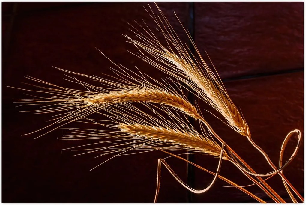 Tablou - Spic în prim plan (90x60 cm)