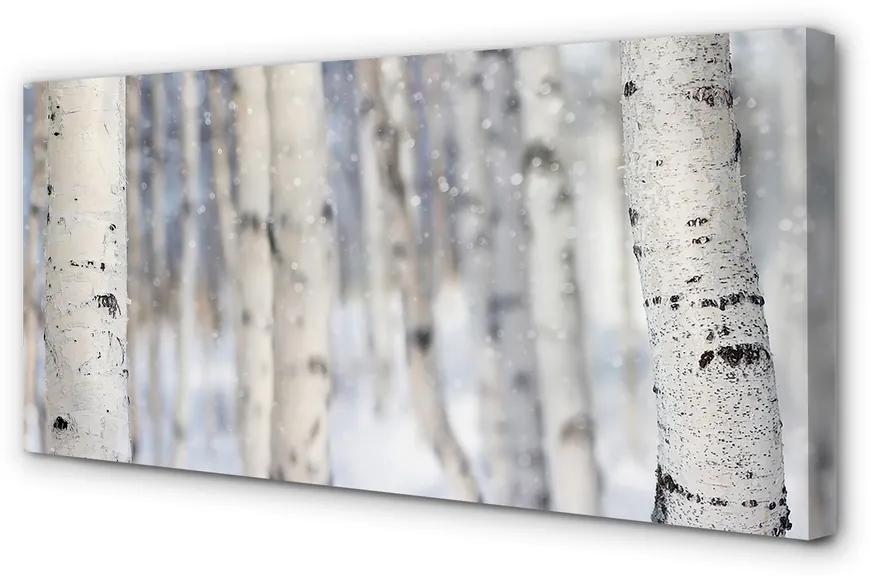 Tablouri canvas Copaci de zăpadă de iarnă