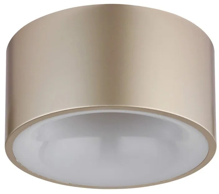 Plafoniera, Spot aplicat 15cm LED RAYMOND sampanie