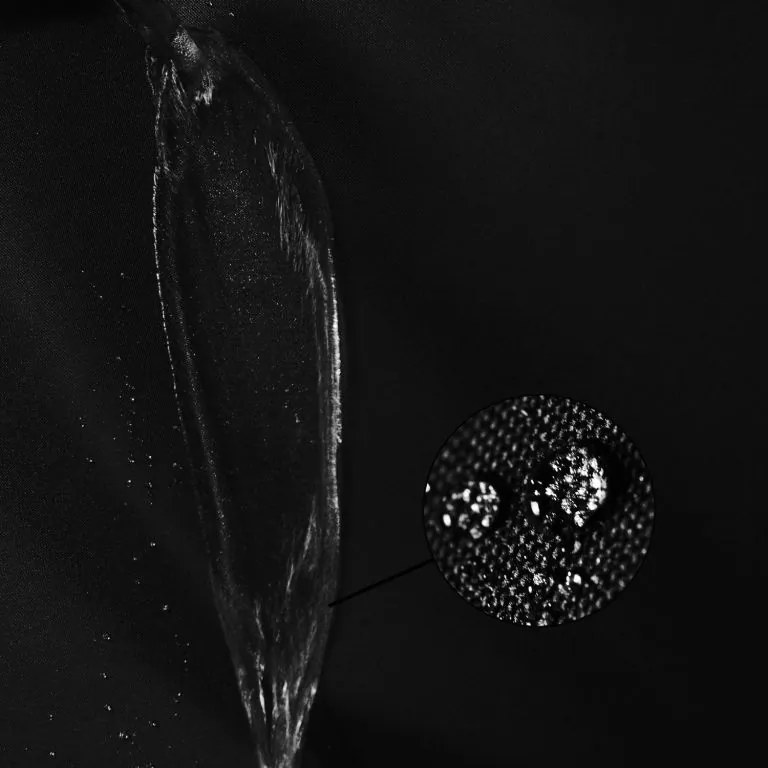 Cort de petrecere în grădină INSTENT PRO, 3 x 6, foarfecă, n