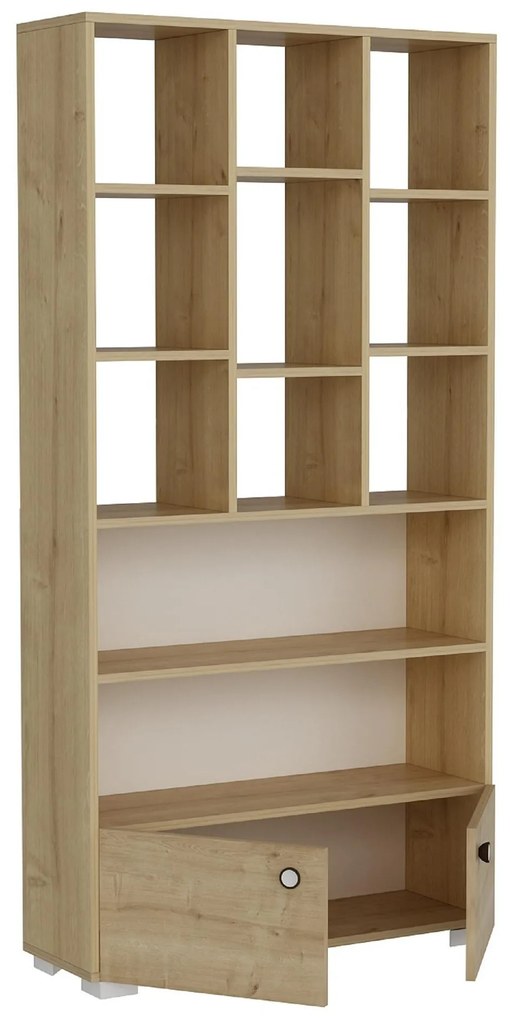 Raft Vabudu (stejar zafir) . 1093028