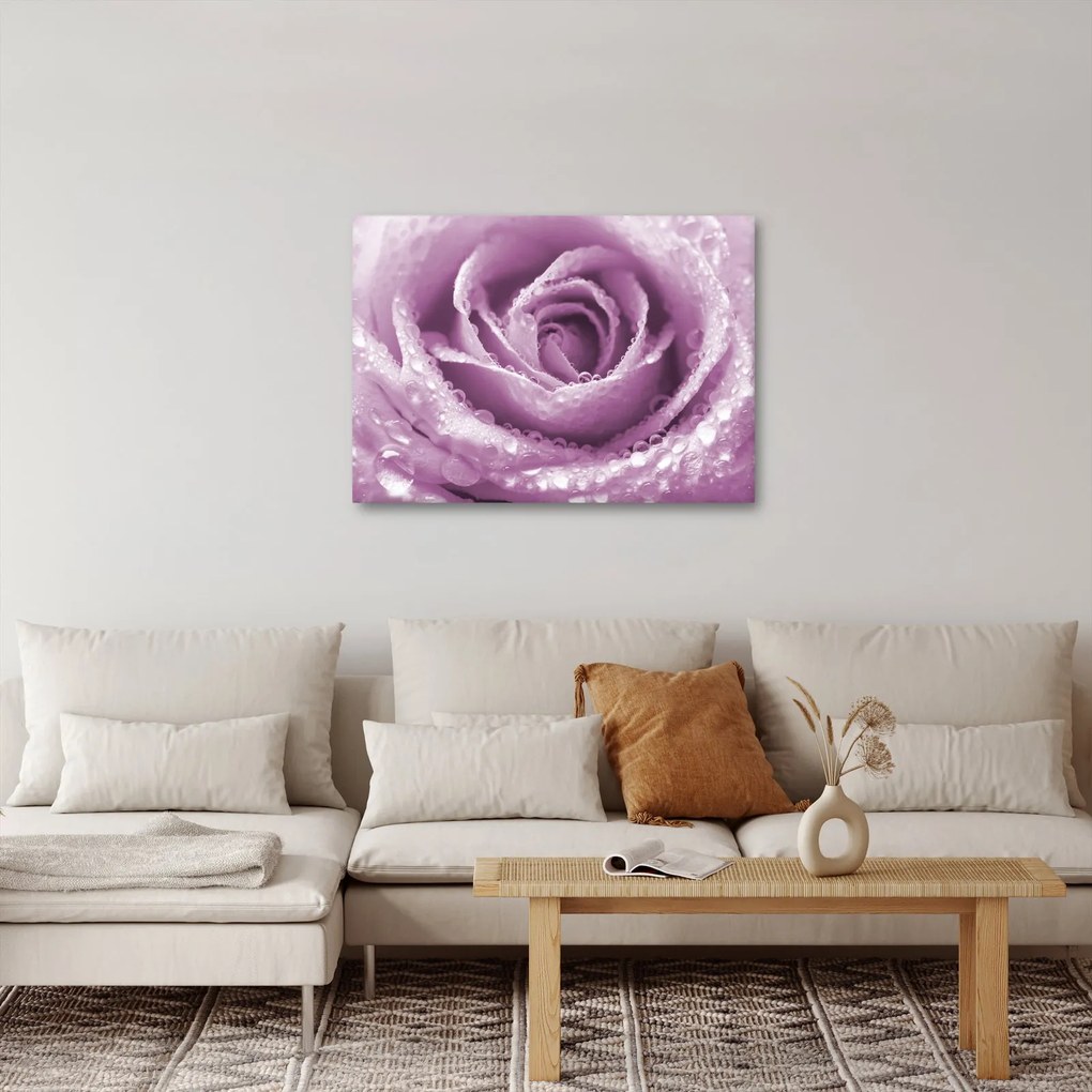 Tablou detaliu de floare de trandafir (70x50 cm)