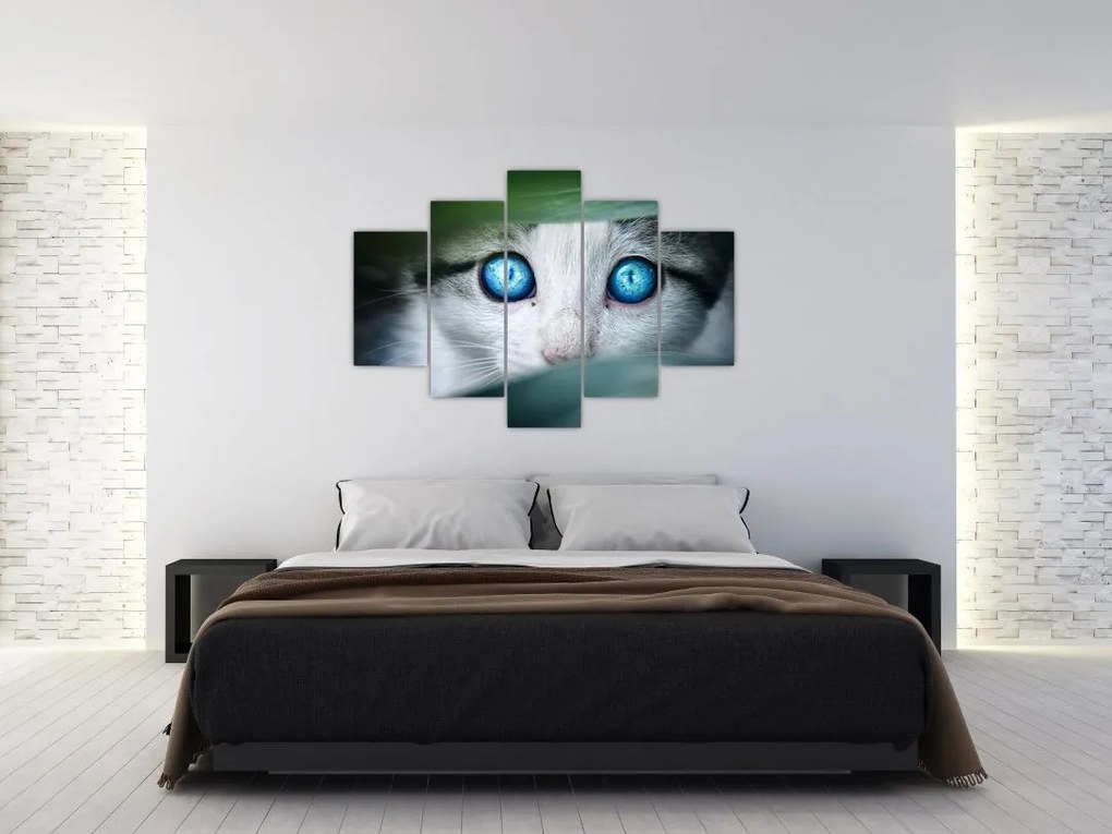Tablou cu pisica (150x105 cm)