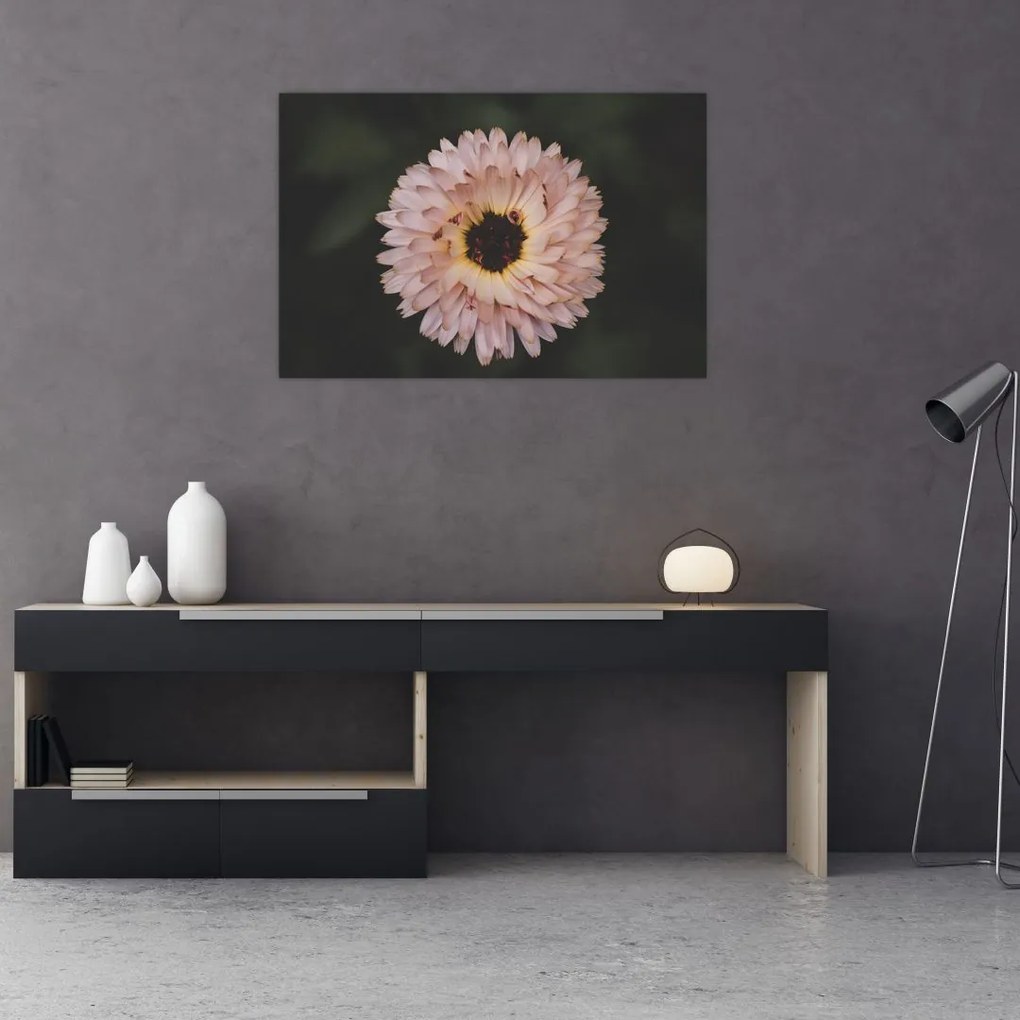 Tablou cu floare portocalie (90x60 cm)