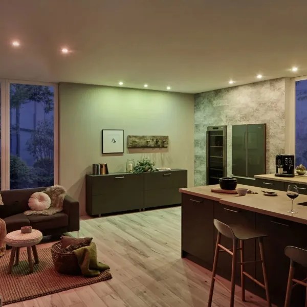 SET 3x corp de iluminat încastrat dimabil pentru baie Paulmann 93940 LED RGBW/2W IP23 230V