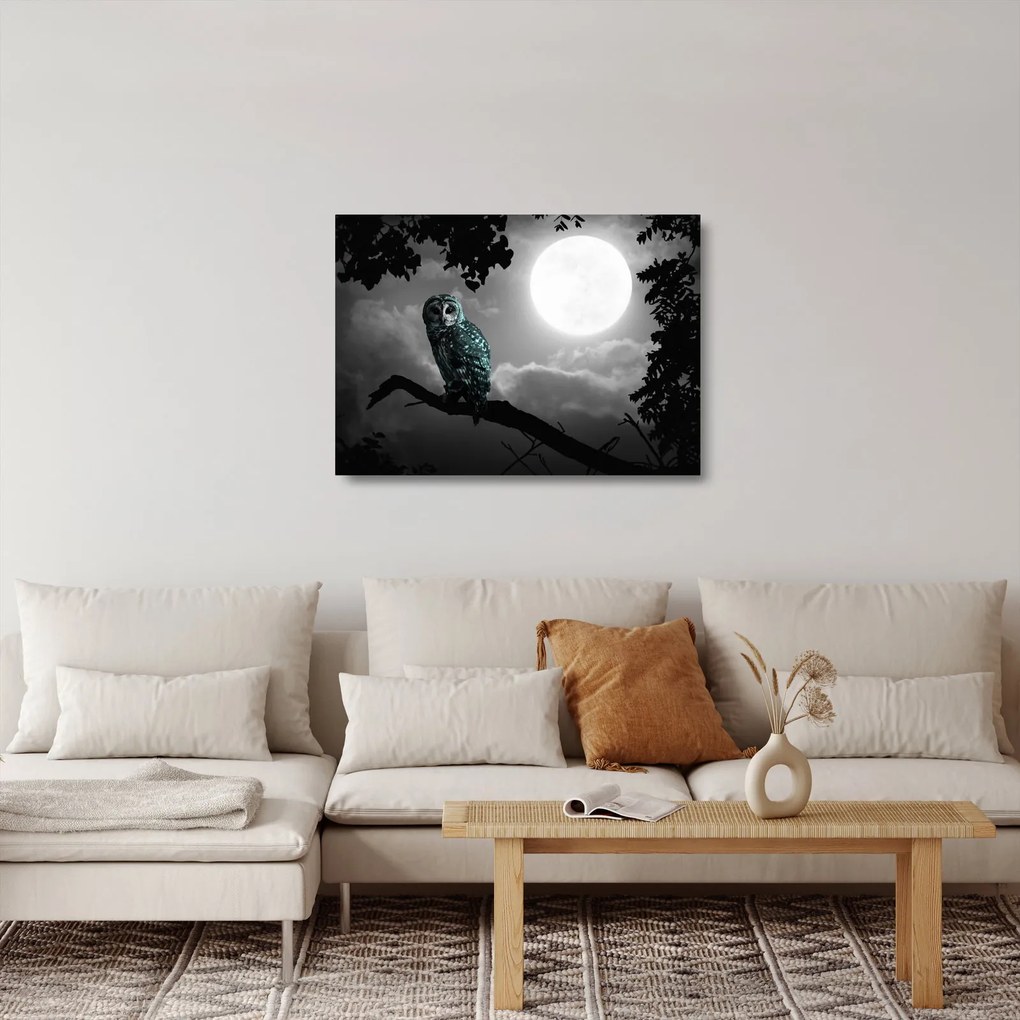 Tablou pe sticlă - Bufniță de noapte, albastru (70x50 cm)