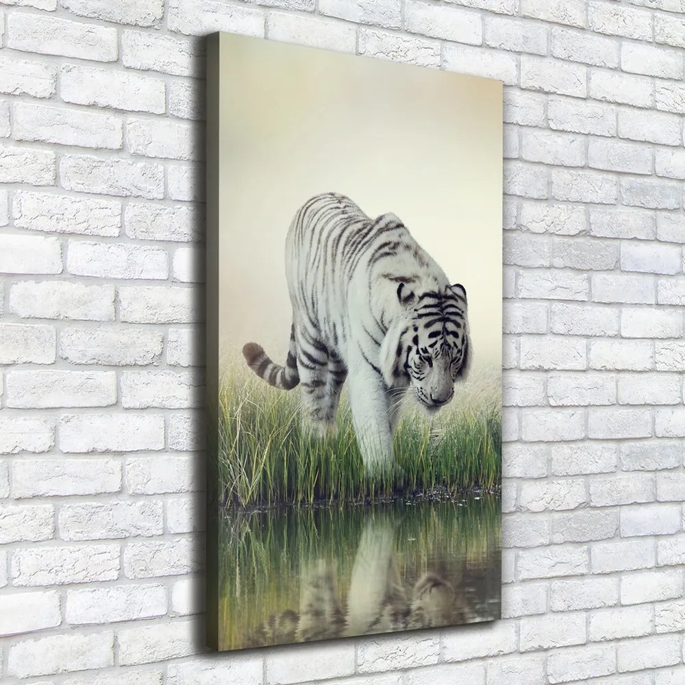 Tablou pe pânză canvas Tigru alb