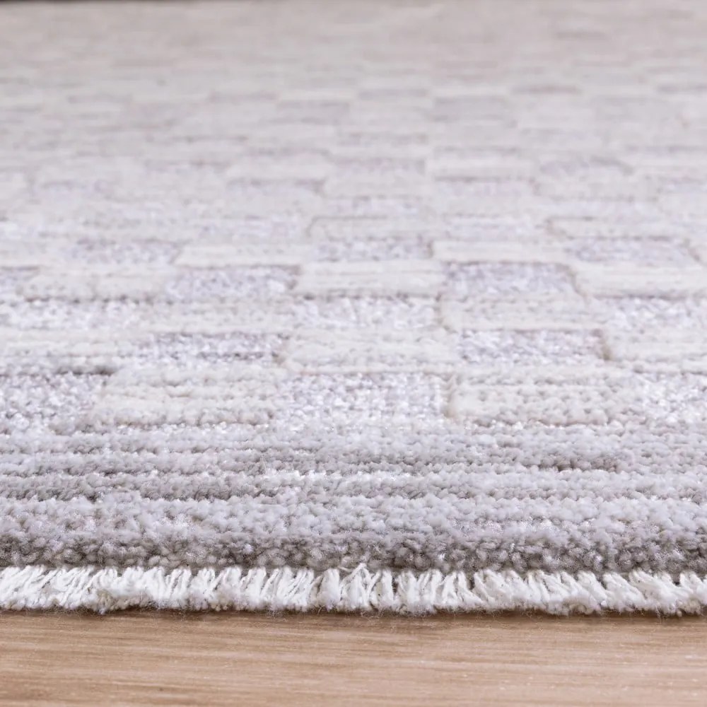 Covor grej 200x300 cm Laurent Grey Silver – Asiatic Carpets