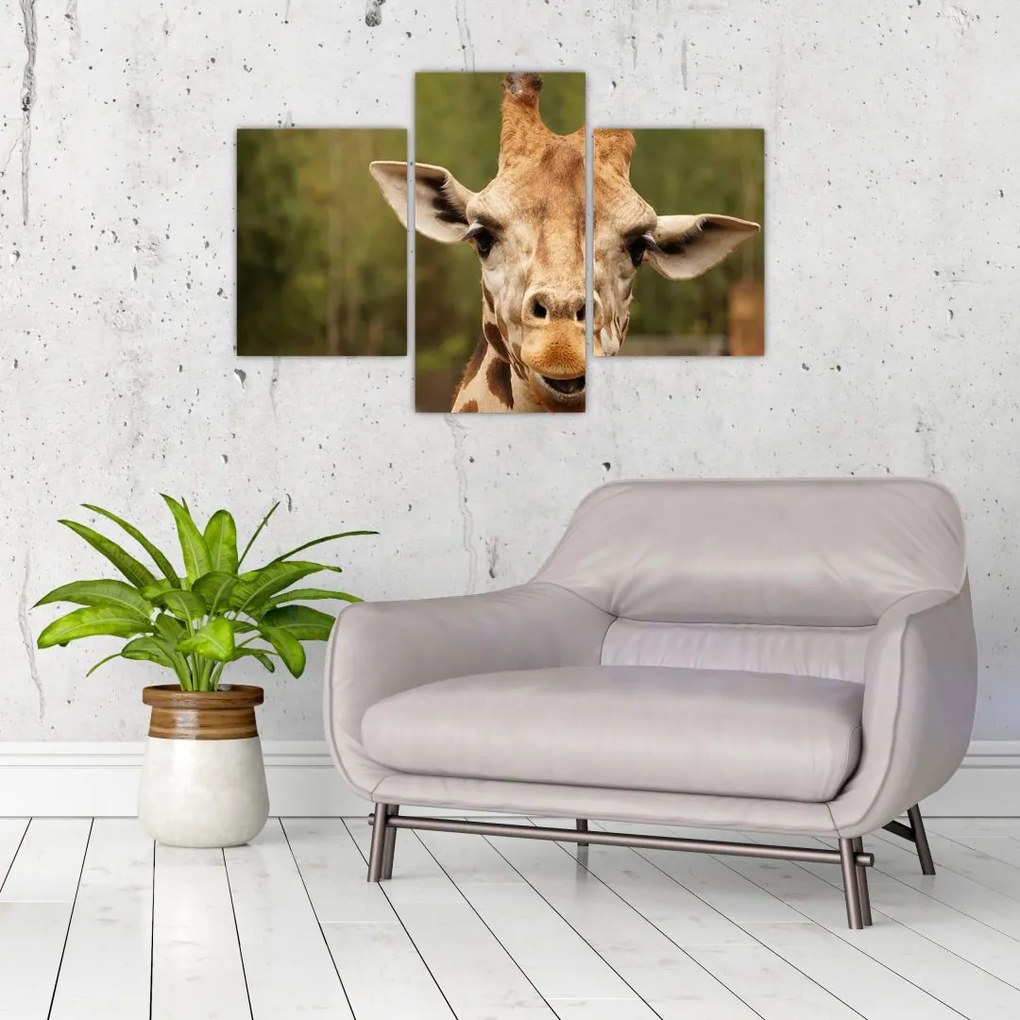 Tablou girafe (90x60 cm)