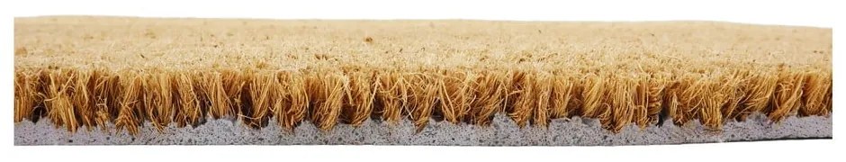 Covoraș de intrare din fibre de nucă de cocos 40x60 cm Midnight Garden x Celia Battaini – Artsy Doormats