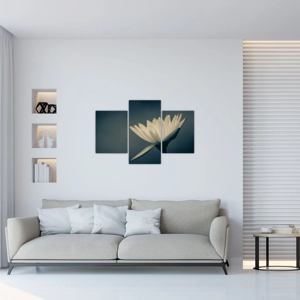 Tablou cu flori (90x60 cm)
