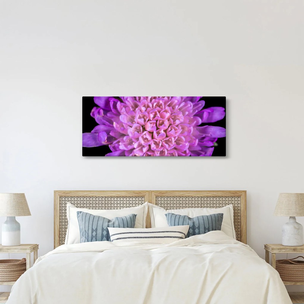 Tablou detailat cu floare (120x50 cm)