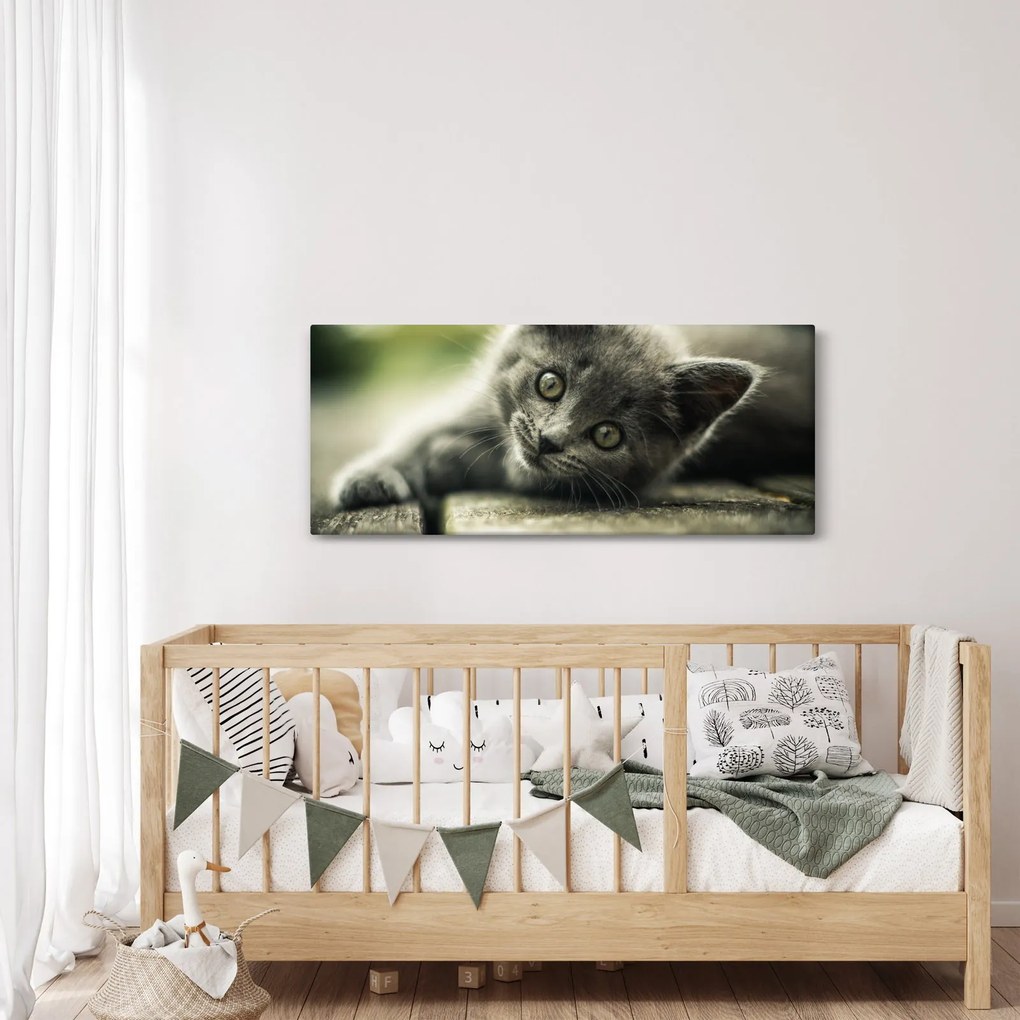 Tablou cu pisicuța (120x50 cm)