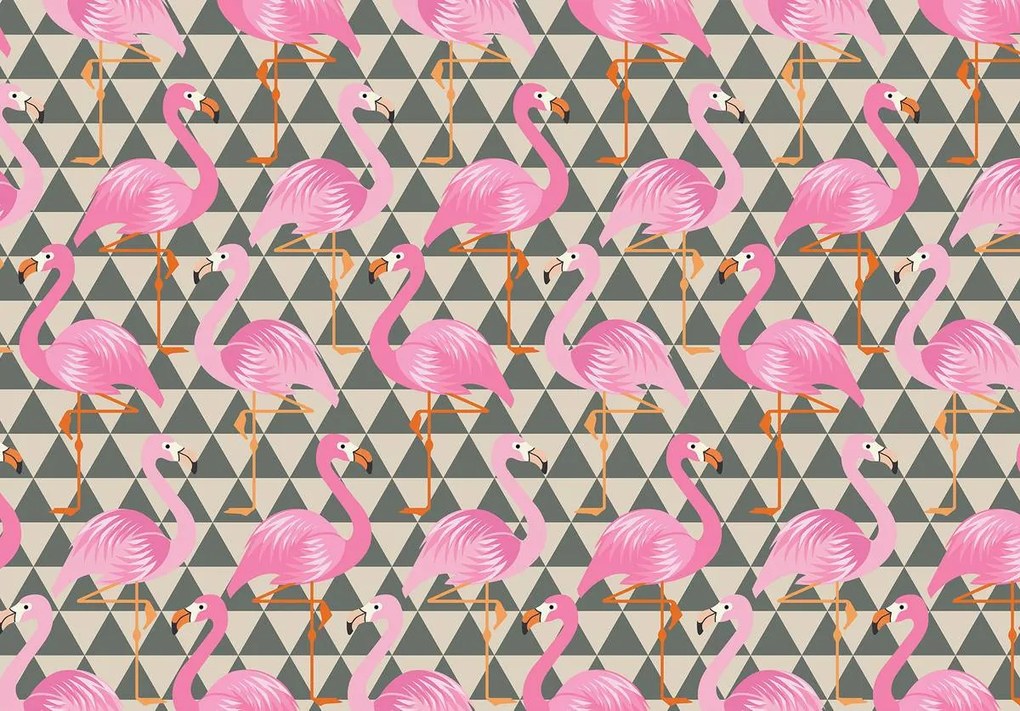Fototapet - Flamingo (254x184 cm)