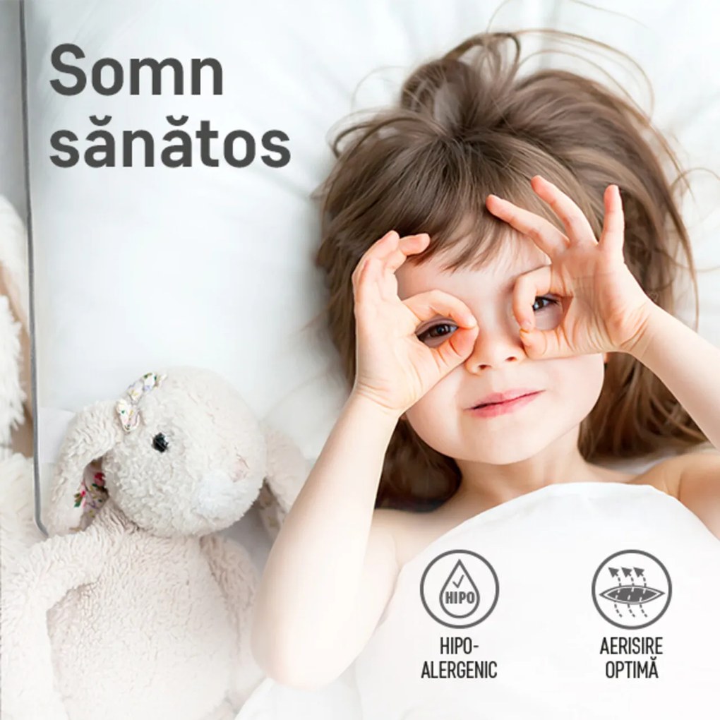 Set 4 perne Sleep by Green Future 10% puf gasca 90% pana de gasca, 50x70 cm