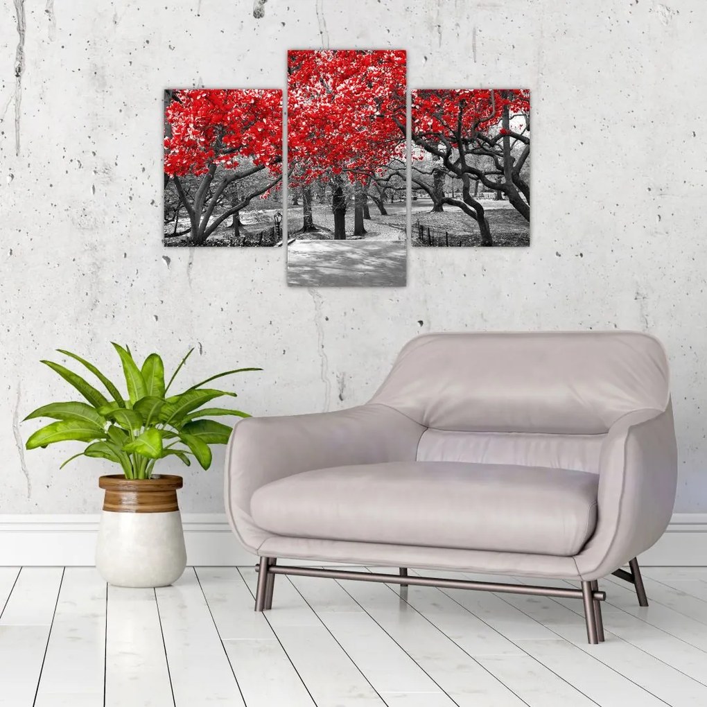 Tablou - Copaci roșii, Central Park, New York (90x60 cm)