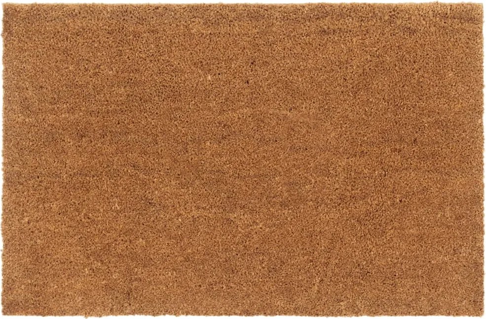 vidaXL Covoraș de ușă natural, 65x100 cm, fibre de cocos