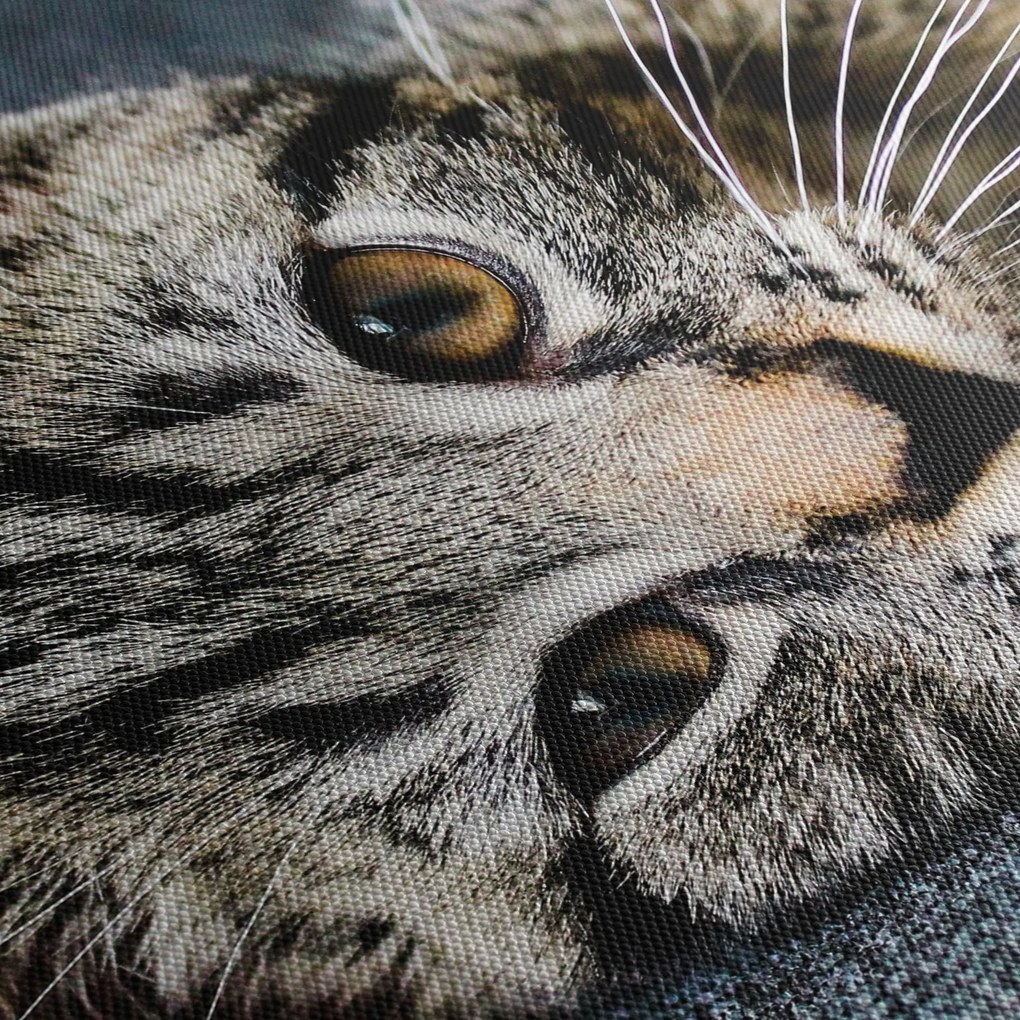 Tablou - Pisoi (cu ceas) (90x30 cm)