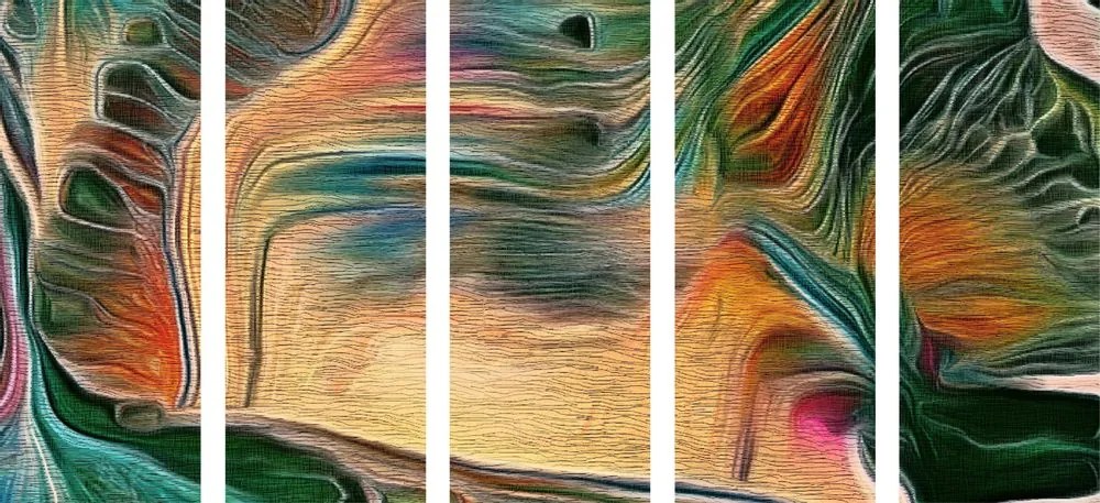 Tablou 5-piese abstracție psihedelică