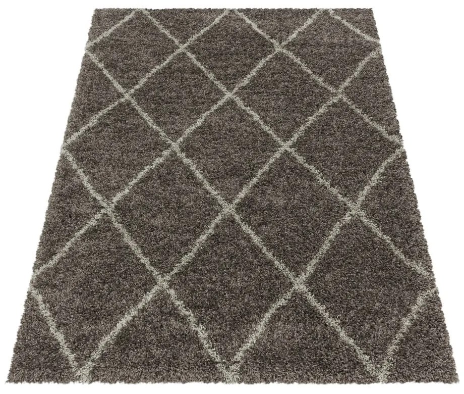 Covor maro 160x230 cm Alvor – Ayyildiz Carpets