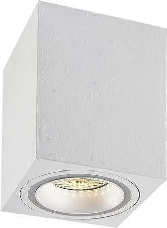 Spot aplicat tavan Kobald alb