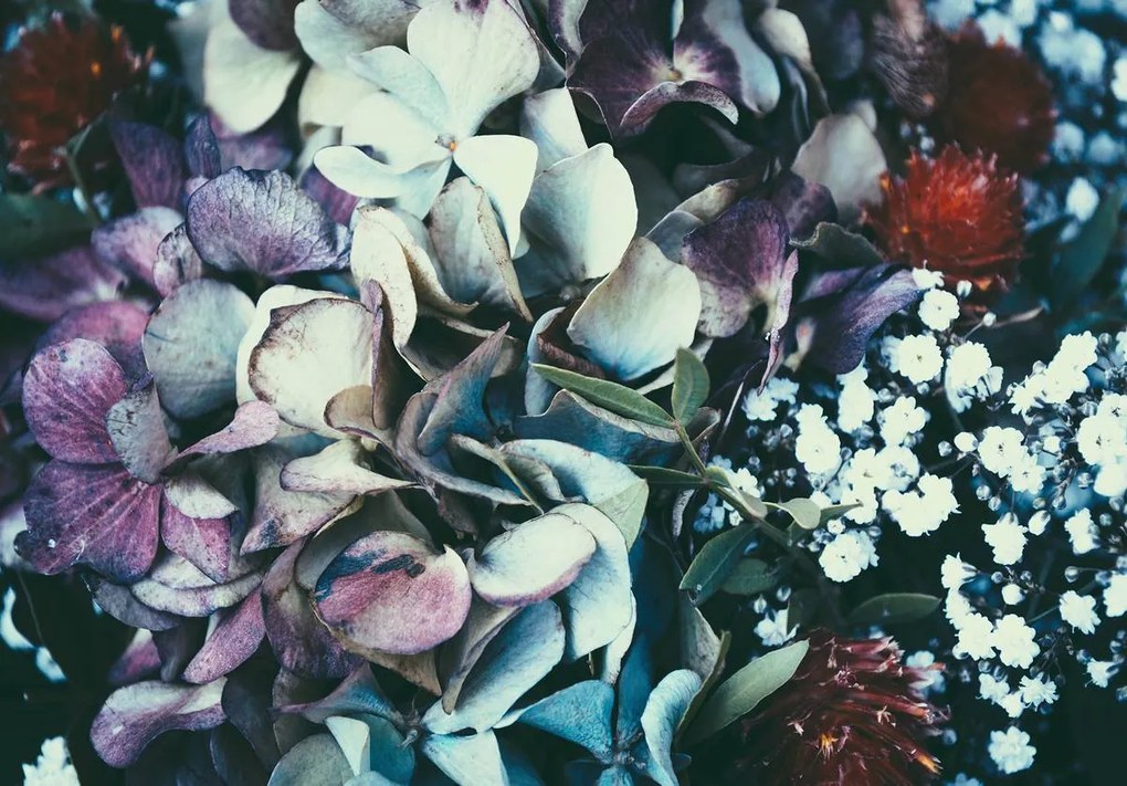Fototapet - Flori (254x184 cm)